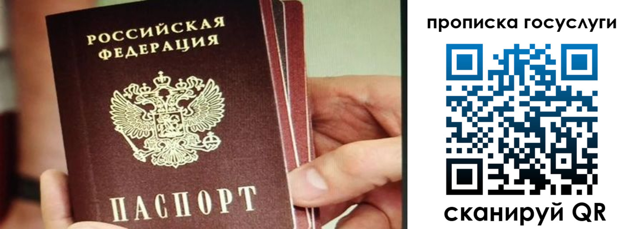 пропишу в квартире в Новоалтайске